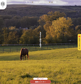 縁（en）の画像