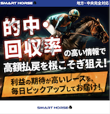 スマートホース（SMART HORSE）の画像