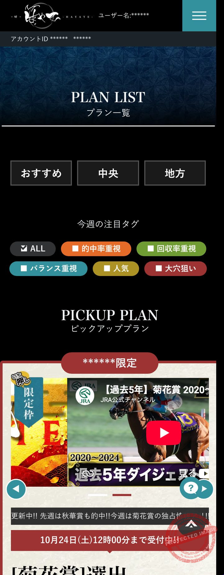 颯（はやて）の会員ページ「情報購入」（2026年10月20日撮影・登録情報は伏せ字）