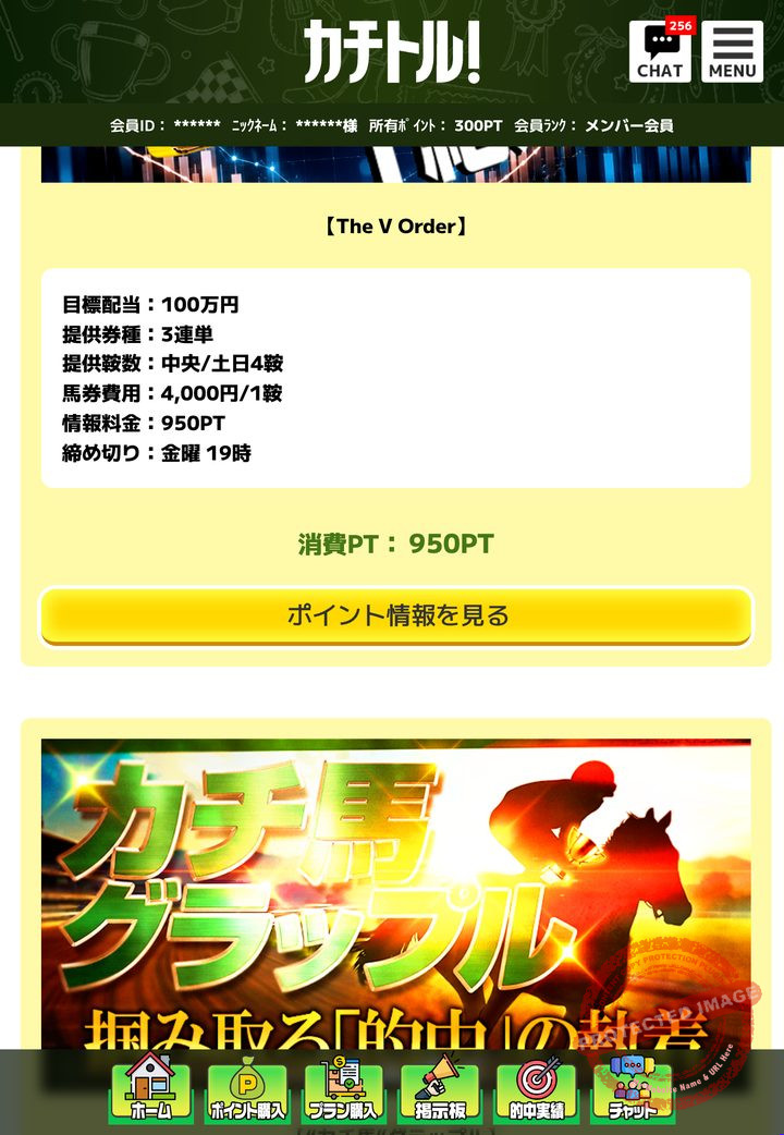 カチトルの会員ページ「情報公開（販売中プラン）」の画面（2026年9月3日撮影・会員IDは伏せ字）
