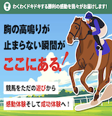 競馬タイム（競馬Time）の画像
